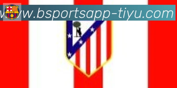 Bsports官网合作伙伴